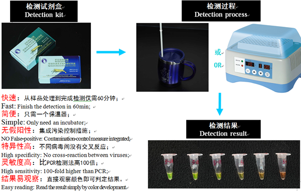 QQ图片20160817180638.png